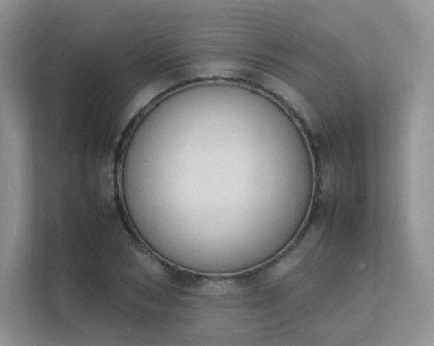 X0000111500978200907211027