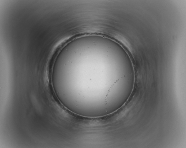 X0000111500979200907211027