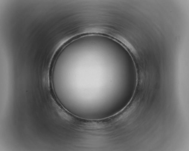 X0000111500980200907211027