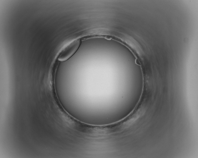 X0000111500981200907211027