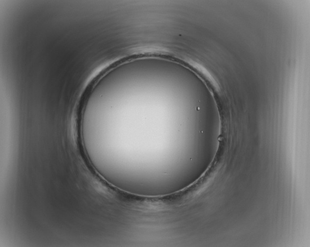 X0000111500983200907211027