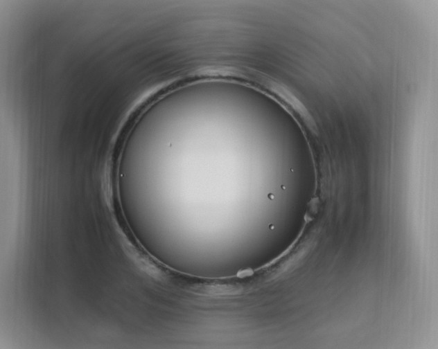 X0000111500984200907211027