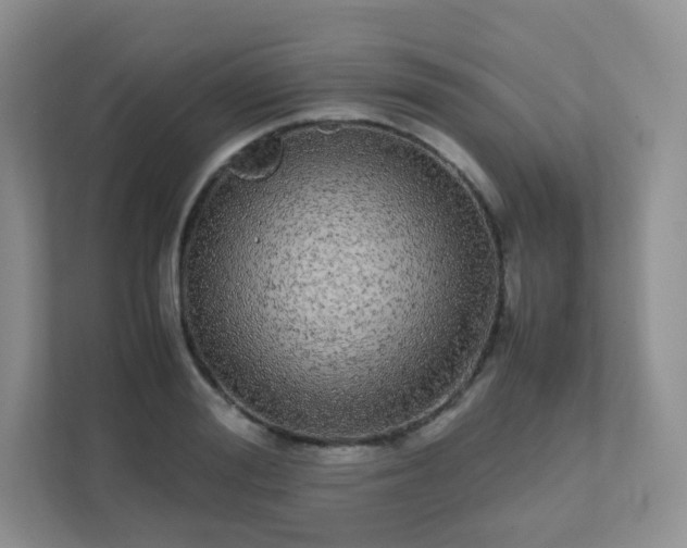 X0000111500988200907211027