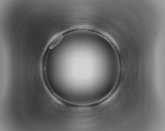 X0000111500989200907211027