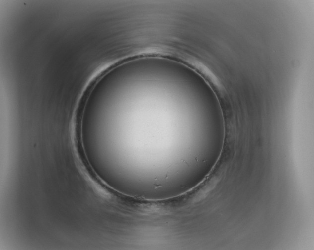 X0000111500991200907211027