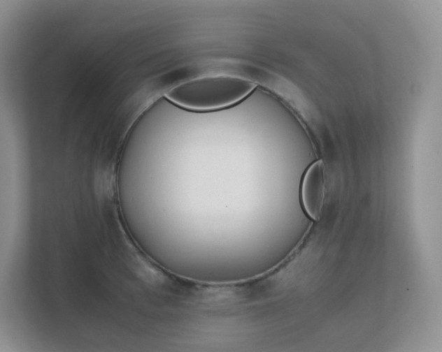 X0000111500993200907211026