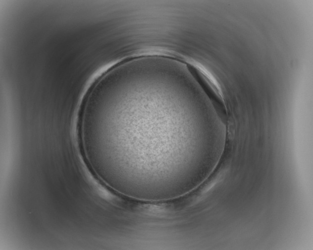 X0000111500995200907211026