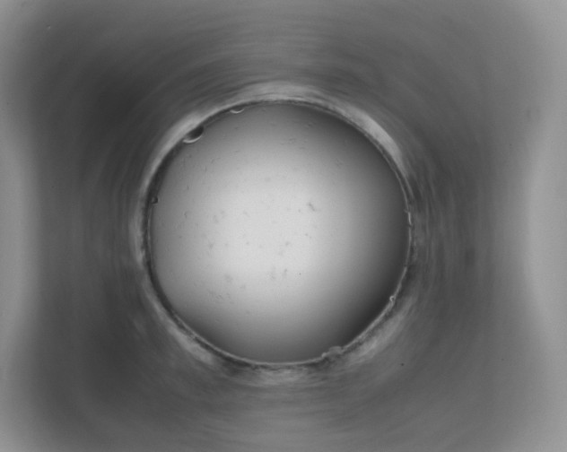 X0000111500997200907211026