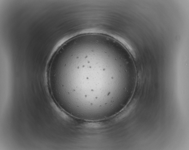 X0000111500998200907211026