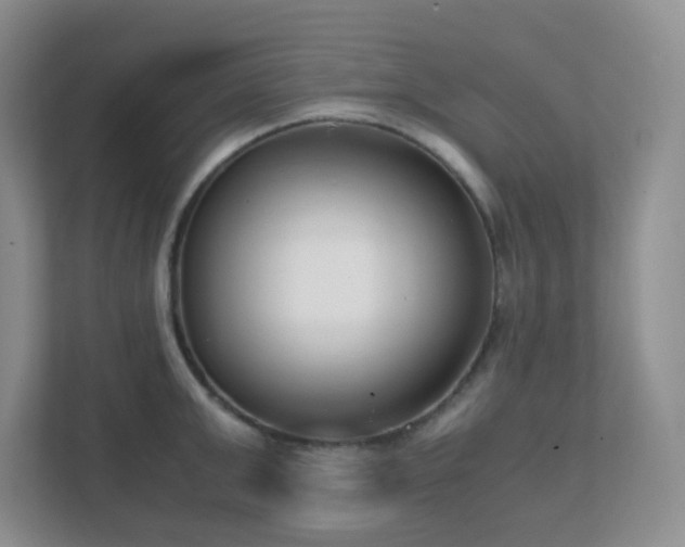 X0000111500999200907211026