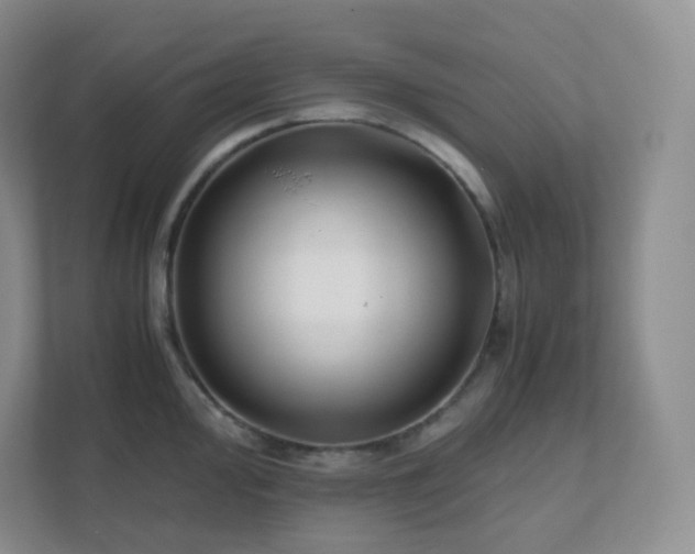 X0000111501000200907211026