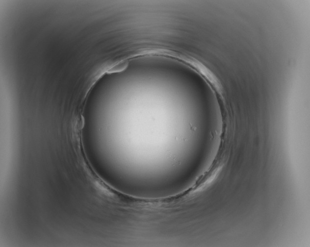 X0000111501001200907211026