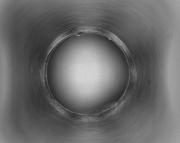 X0000111501002200907211026