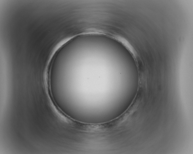 X0000111501003200907211026