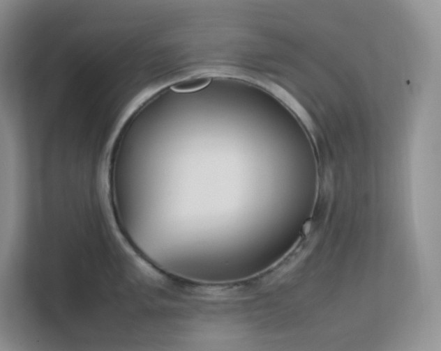 X0000111501005200907211026