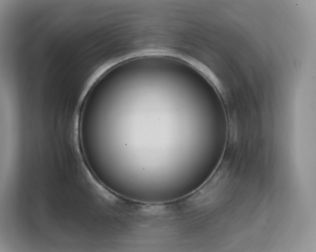 X0000111501006200907211026