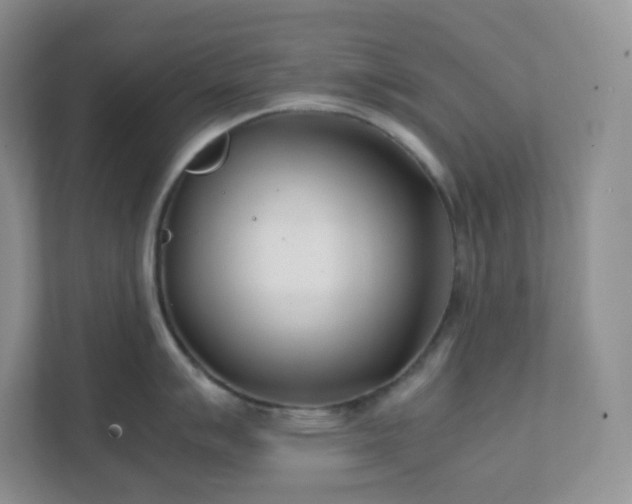 X0000111501007200907211026