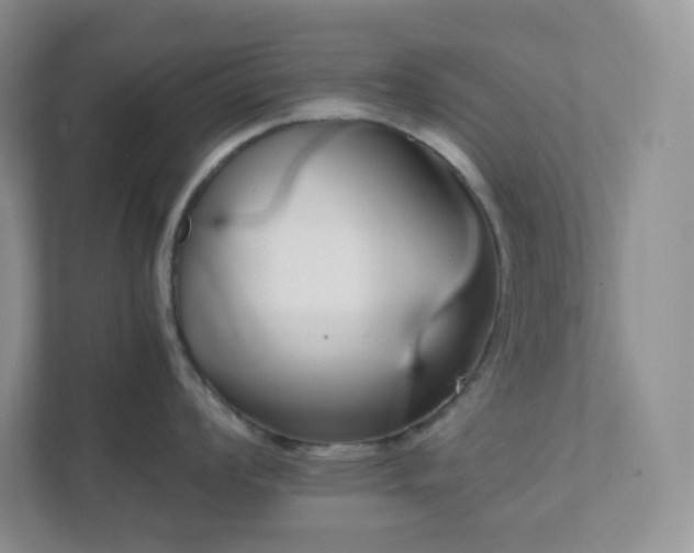 X0000111501008200907211026