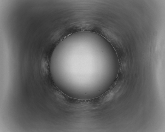 X0000111501010200907211026