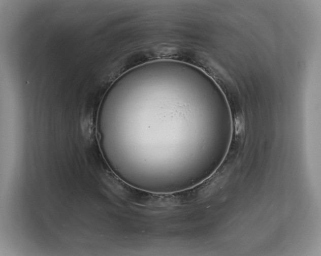 X0000111501011200907211026