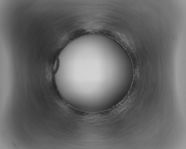 X0000111501012200907211026