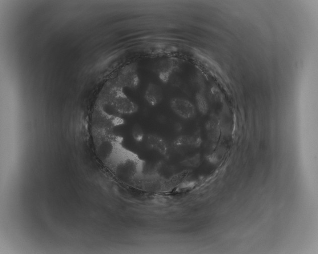 X0000111501013200907211026