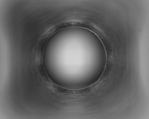 X0000111501014200907211026