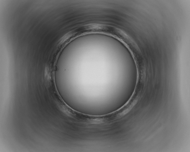 X0000111501017200907211026