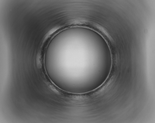 X0000111501018200907211026