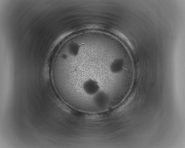X0000111501019200907211026