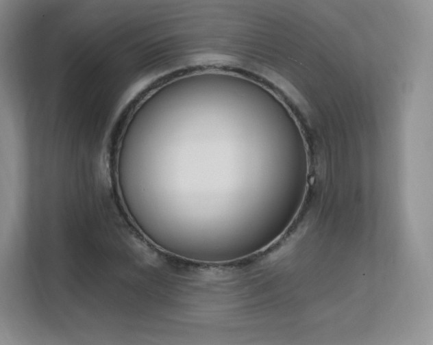 X0000111501022200907211026