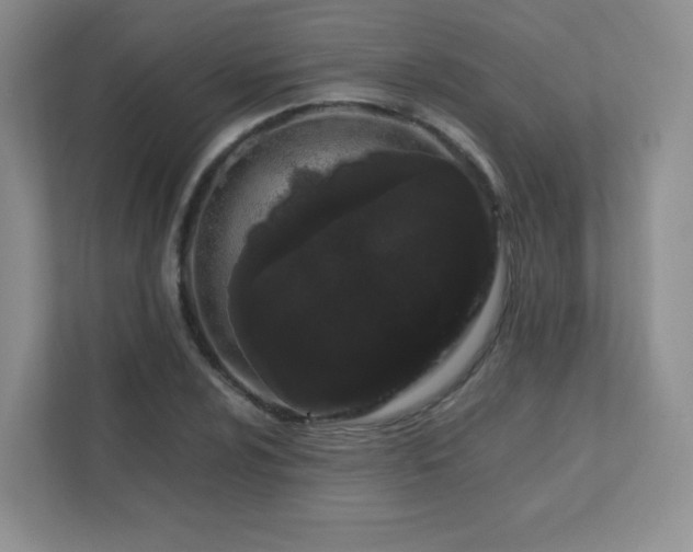 X0000111501024200907211026