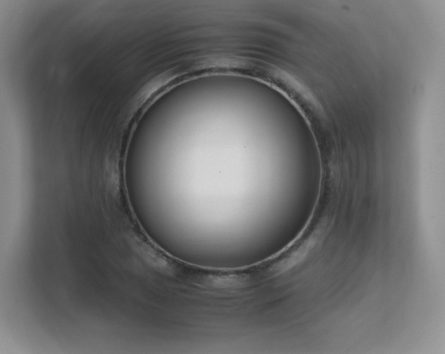 X0000111501025200907211026