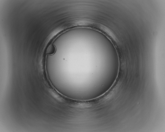 X0000111501026200907211026