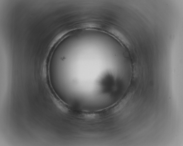 X0000111501031200907211026