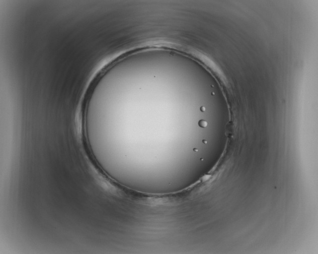 X0000111501032200907211026