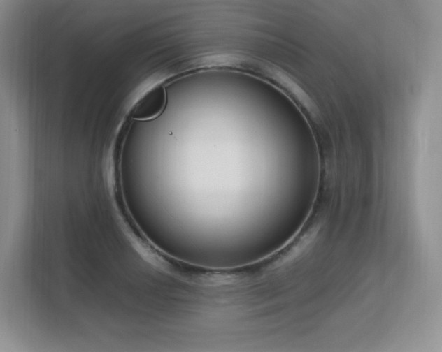 X0000111501034200907211026