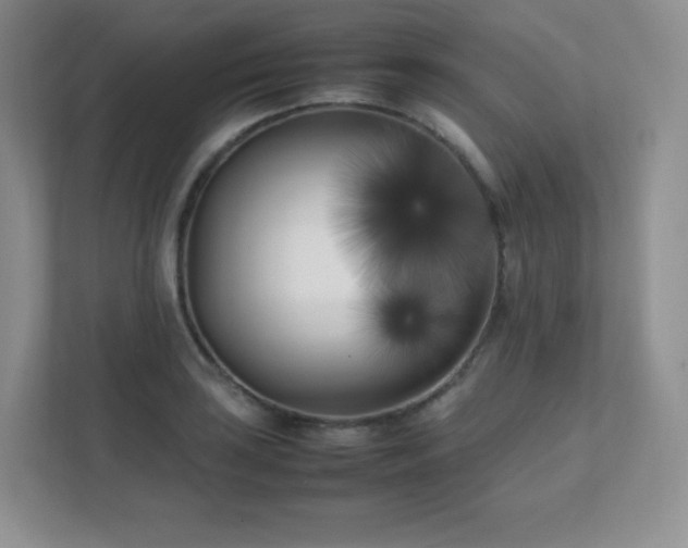 X0000111501035200907211026