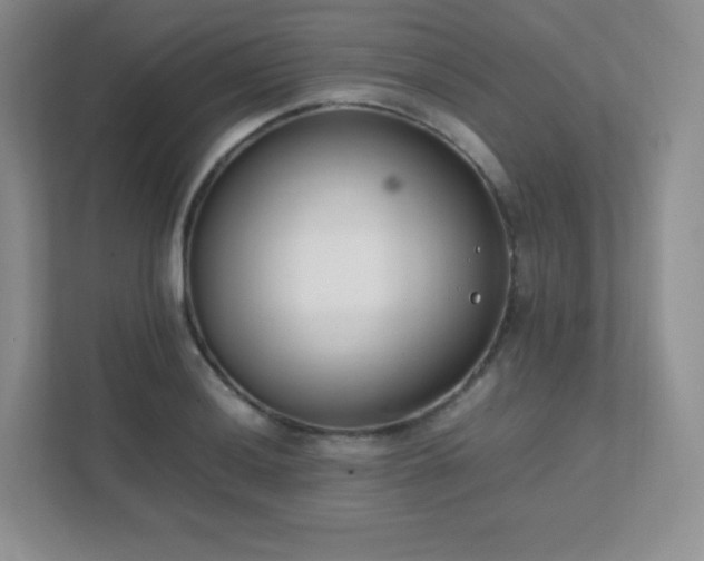 X0000111501036200907211026