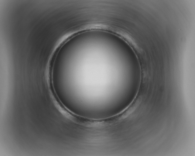 X0000111501038200907211026