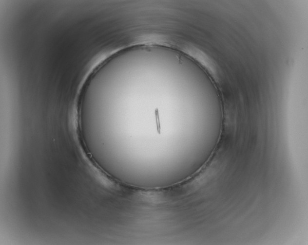 X0000111501040200907211026