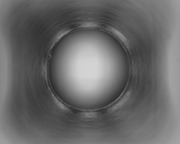 X0000111501041200907211026