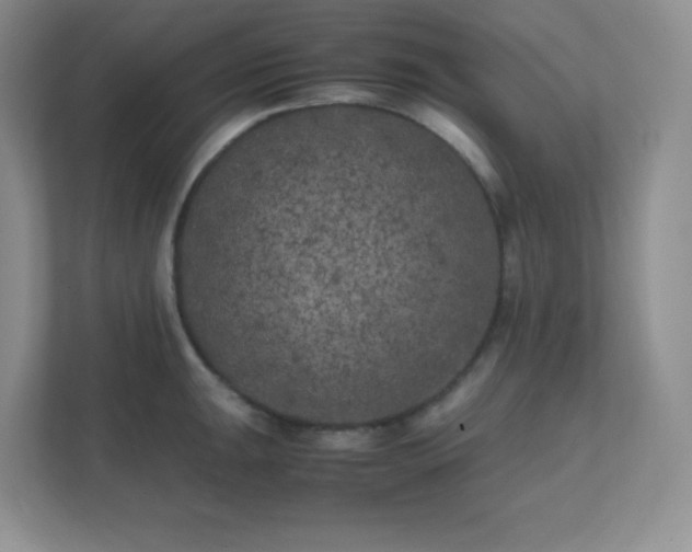 X0000111501047200907211026