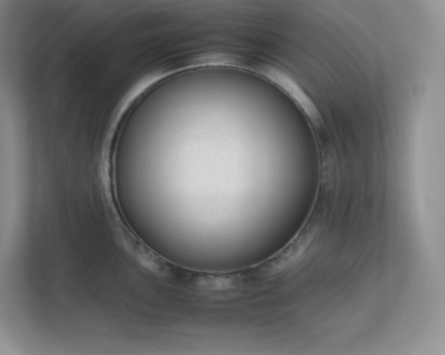 X0000111501051200907211026