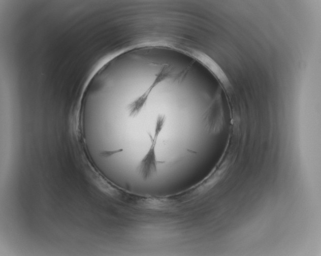 X0000111501052200907211026