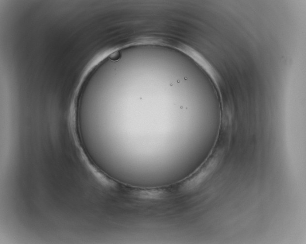 X0000111501053200907211026