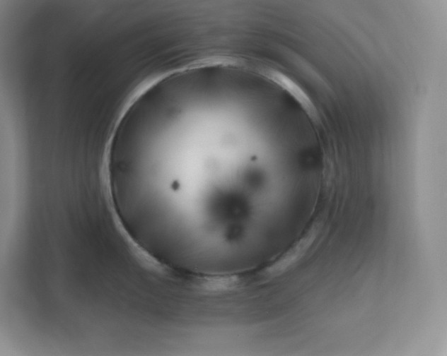 X0000111501055200907211026