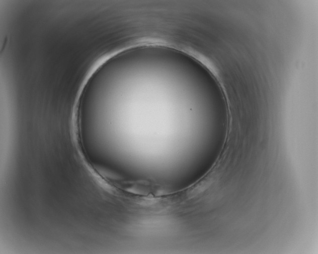 X0000111501056200907211026