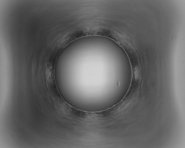 X0000111501059200907211026