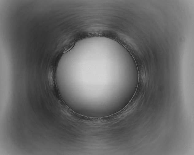 X0000111501060200907211026